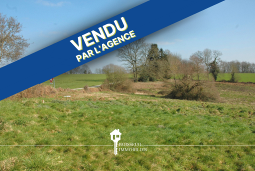 terrain à vendre Boisseuil