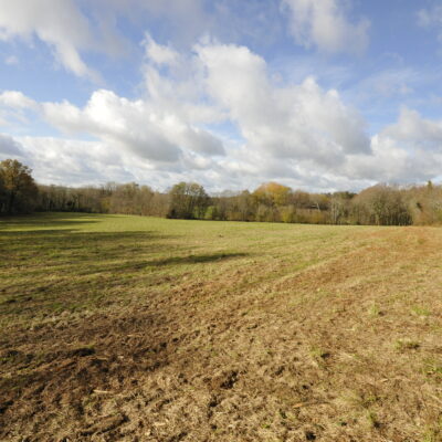 Terrain Agricole 7,8 Hectares d'un seul tenant à Vicq sur Breuilh