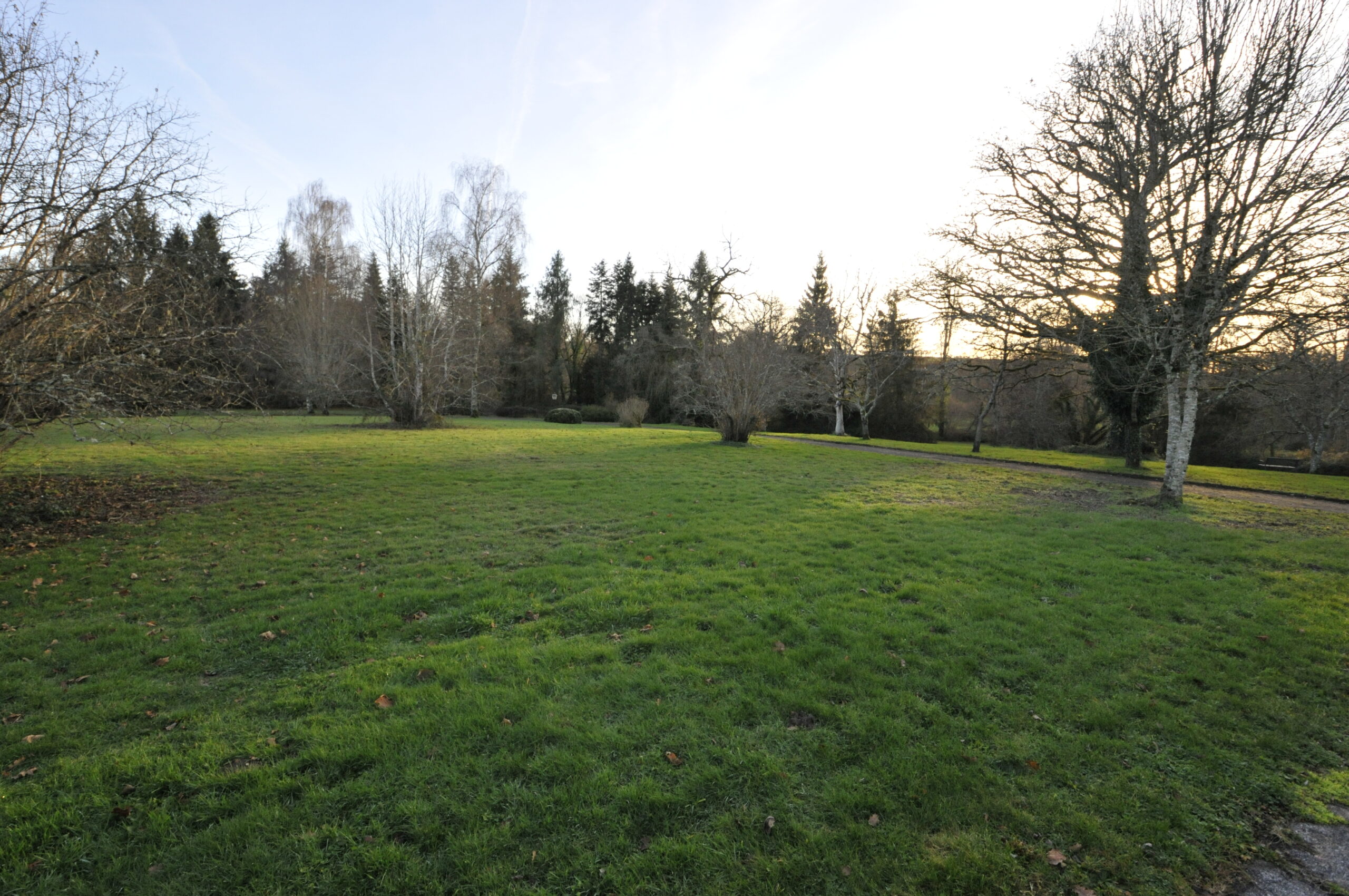 Longère en Pierre sur Grand Terrain proche Pierre Buffière – Image 5