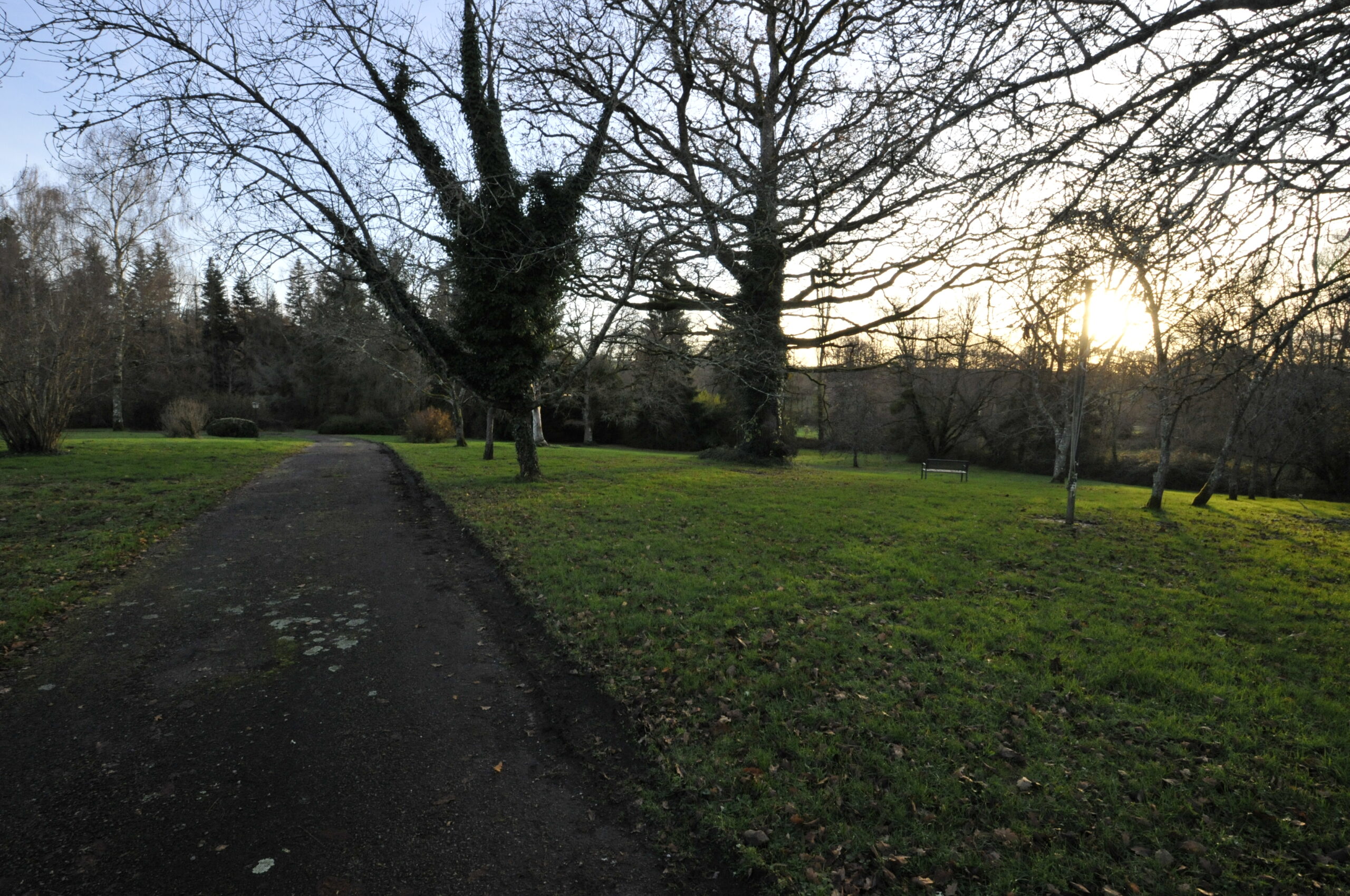 Longère en Pierre sur Grand Terrain proche Pierre Buffière – Image 6