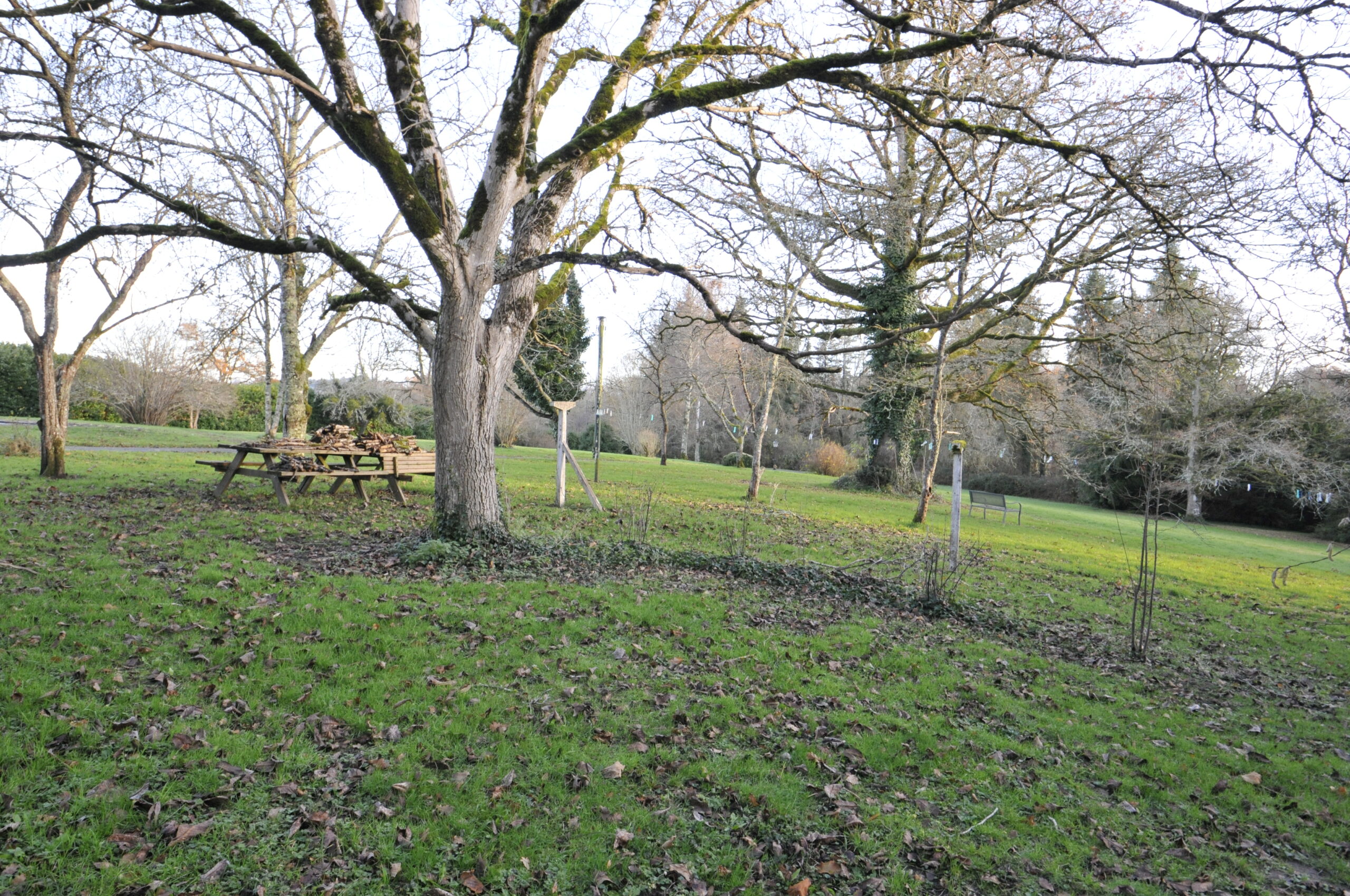 Longère en Pierre sur Grand Terrain proche Pierre Buffière – Image 12