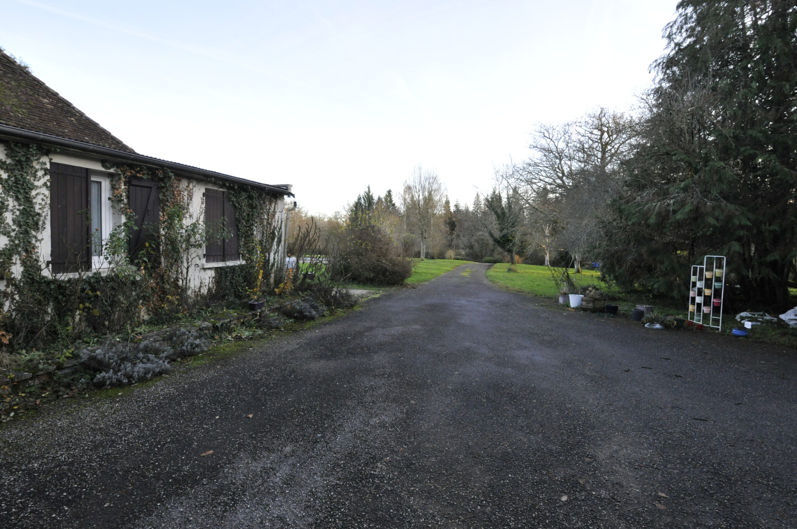 Longère en Pierre sur Grand Terrain proche Pierre Buffière – Image 13