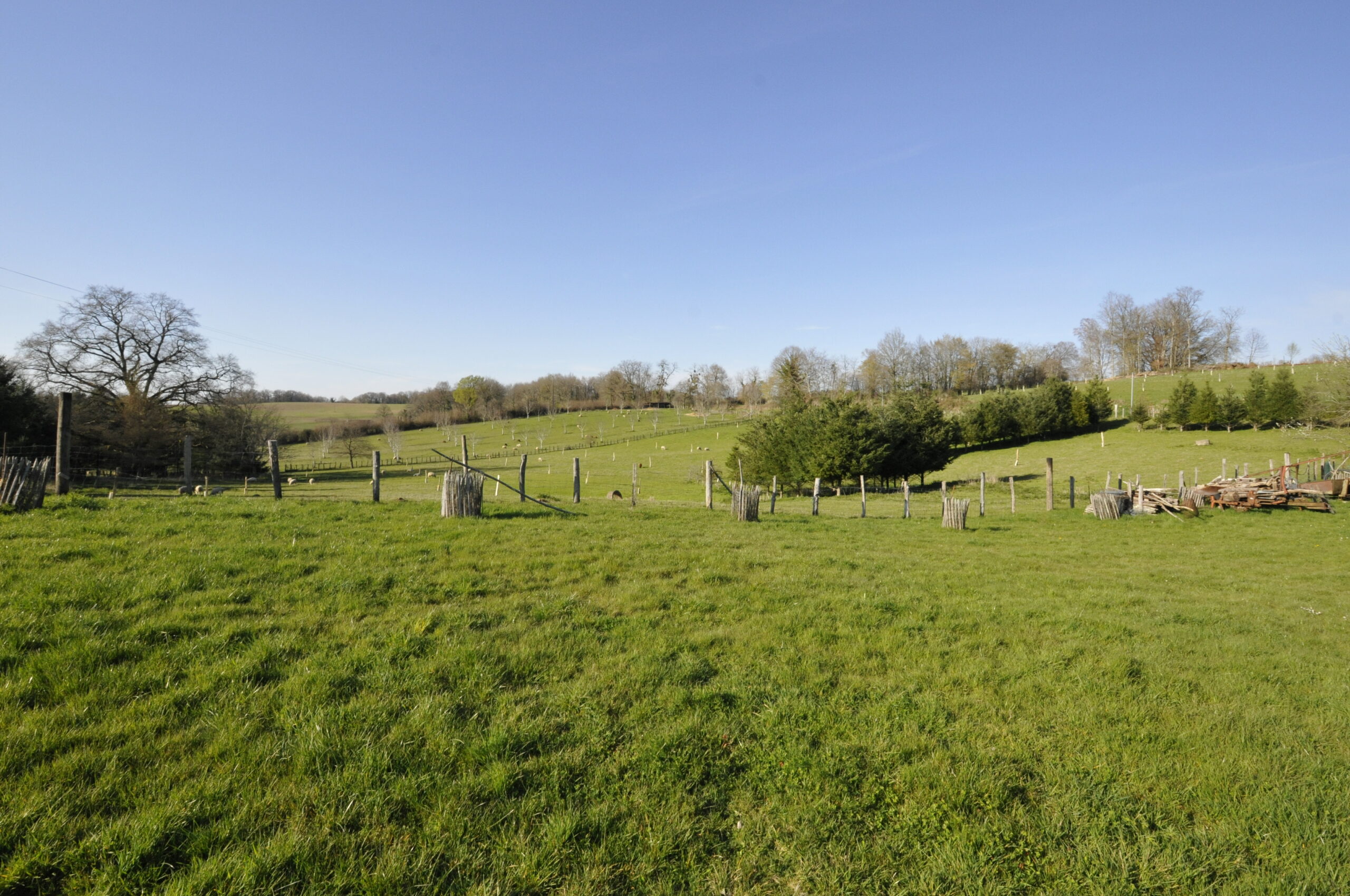 Maison de 2007 sur grand terrain dans secteur au calme 25 min de Limoges – Image 9